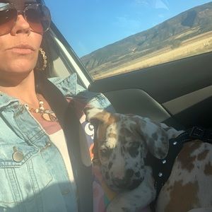 Meet your Posher, Natalie